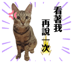 355384418