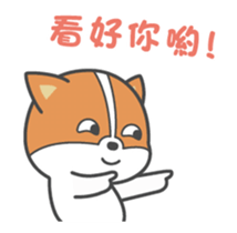 355386936