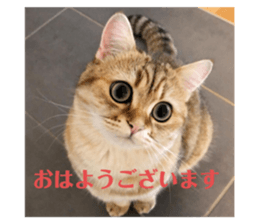 355388974