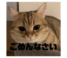 355388978