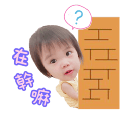 355404323