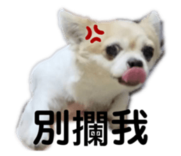 355405650