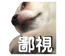 355405657