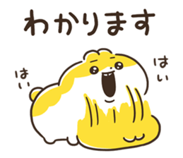 35545312