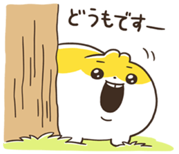 35545330