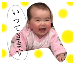 35548162