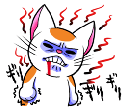 3555063