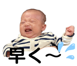 355532023