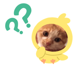 355536573