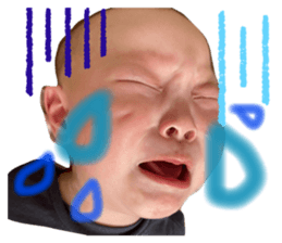 355539953