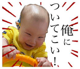 355539954
