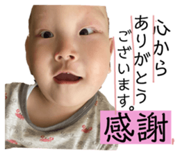 355539962