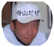 355546634