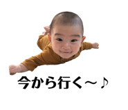 355546943