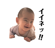 355546945