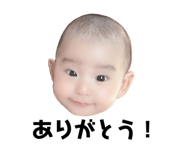 355546946