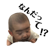 355546947