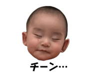 355546953