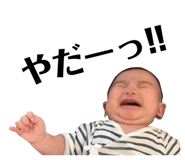 355546955