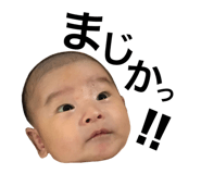 355546964