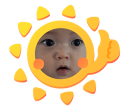 355553629