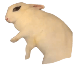 355557990