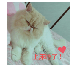 355563815