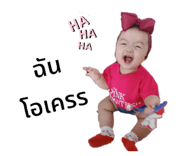 355566553