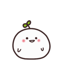 355585429
