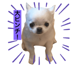 355602473
