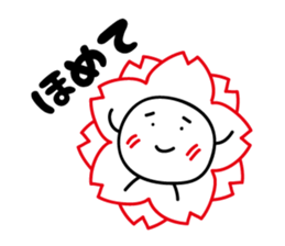 3556724