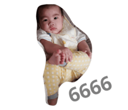 35569686