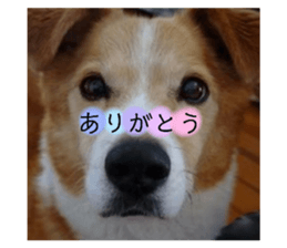 355770725