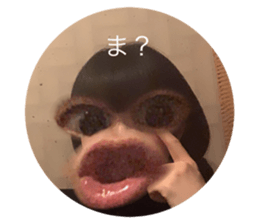 355781559