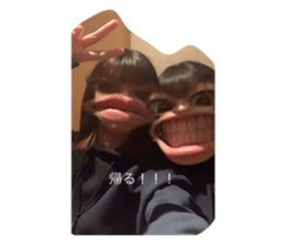 355781560