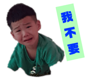 355802320