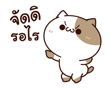 แมวเต้าหู้ : คำฮิตติดปาก รูปที่ 1