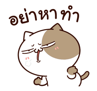 แมวเต้าหู้ : คำฮิตติดปาก รูปที่ 2