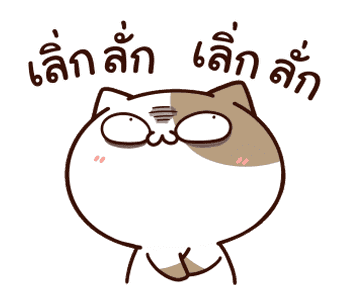 แมวเต้าหู้ : คำฮิตติดปาก รูปที่ 5