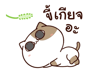 แมวเต้าหู้ : คำฮิตติดปาก รูปที่ 7