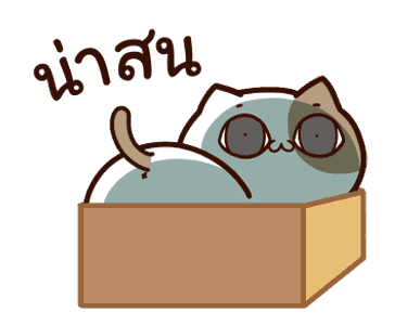 แมวเต้าหู้ : คำฮิตติดปาก รูปที่ 8