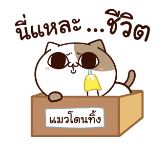 แมวเต้าหู้ : คำฮิตติดปาก รูปที่ 10