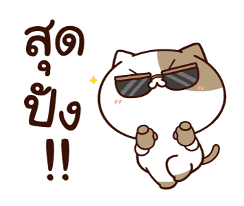 แมวเต้าหู้ : คำฮิตติดปาก รูปที่ 12