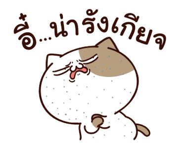 แมวเต้าหู้ : คำฮิตติดปาก รูปที่ 13