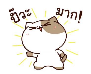 แมวเต้าหู้ : คำฮิตติดปาก รูปที่ 14