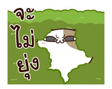 แมวเต้าหู้ : คำฮิตติดปาก รูปที่ 16