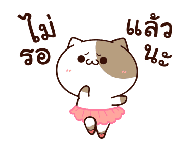 แมวเต้าหู้ : คำฮิตติดปาก รูปที่ 18