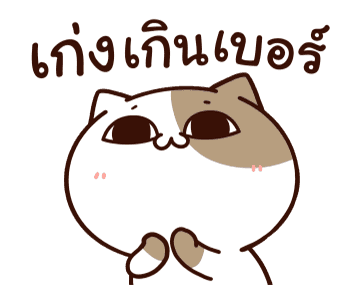 แมวเต้าหู้ : คำฮิตติดปาก รูปที่ 19