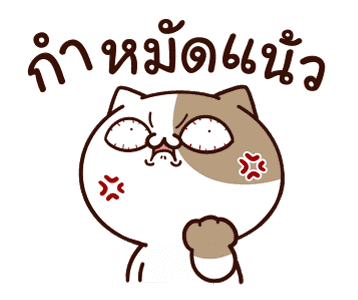 แมวเต้าหู้ : คำฮิตติดปาก รูปที่ 20