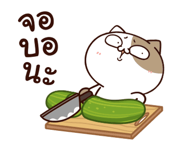 แมวเต้าหู้ : คำฮิตติดปาก รูปที่ 21